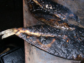 バーベキューオフ 写真20